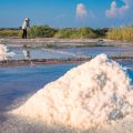 bach long salt fields
