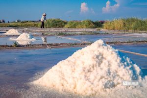 bach long salt fields