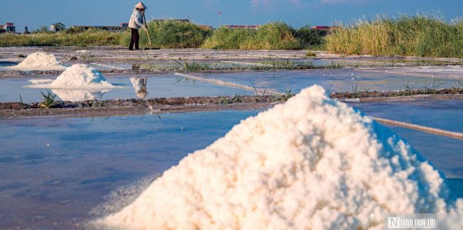 bach long salt fields