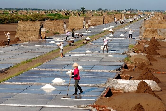 bach long salt fields