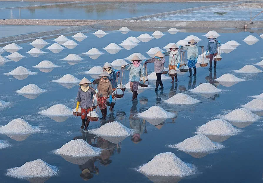 bach long salt fields