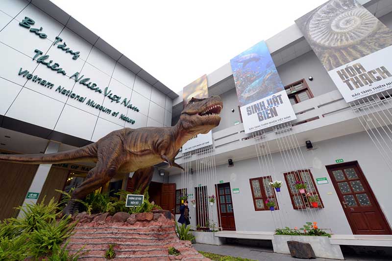 vietnam national museum of nature