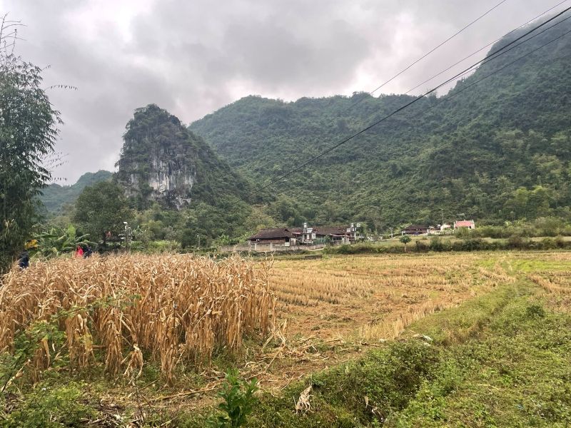 quynh son best tourism village